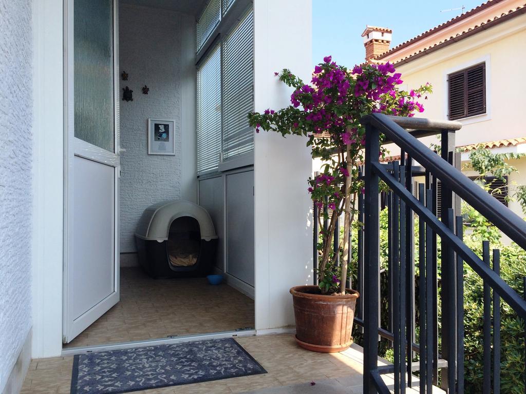 Apartments Kolorcek อิซอลา ภายนอก รูปภาพ